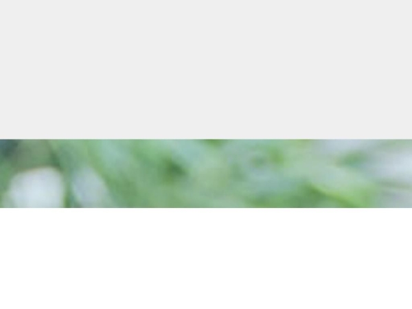 4uservices.ch