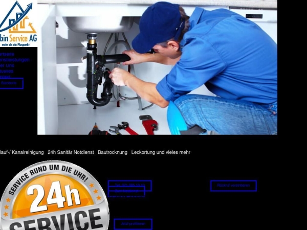 albin-service.ch