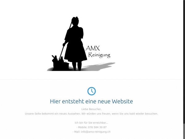 amx-reinigung.ch