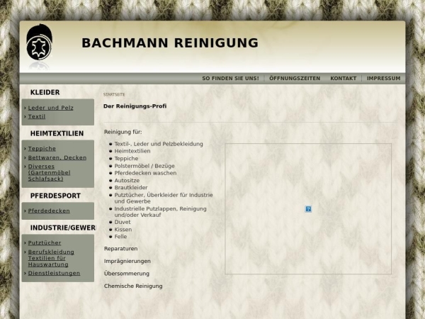 bachmann-reinigung.ch