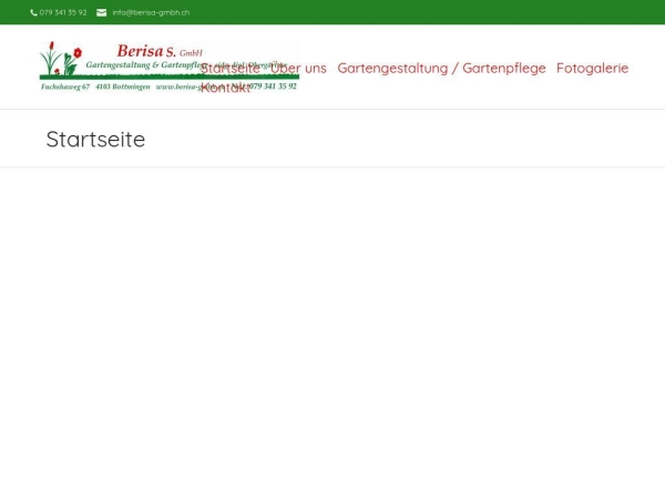 berisa-gmbh.ch