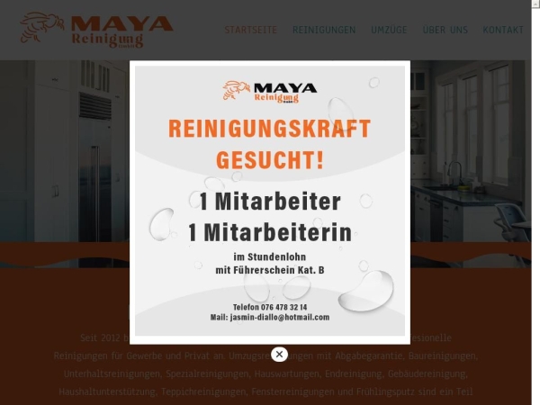 biene-maya-reinigung.ch