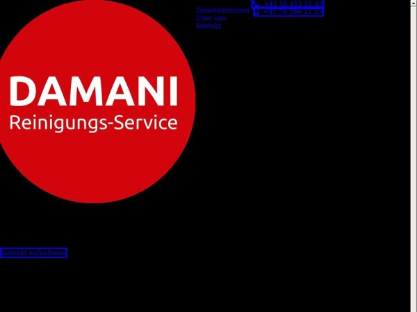 damani-reinigungs-service.ch