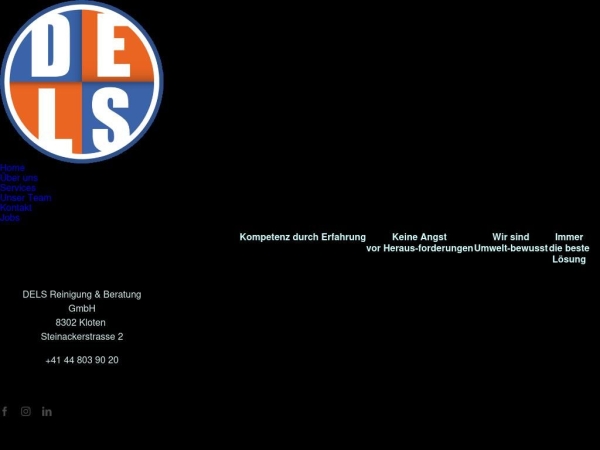 delsreinigung.ch