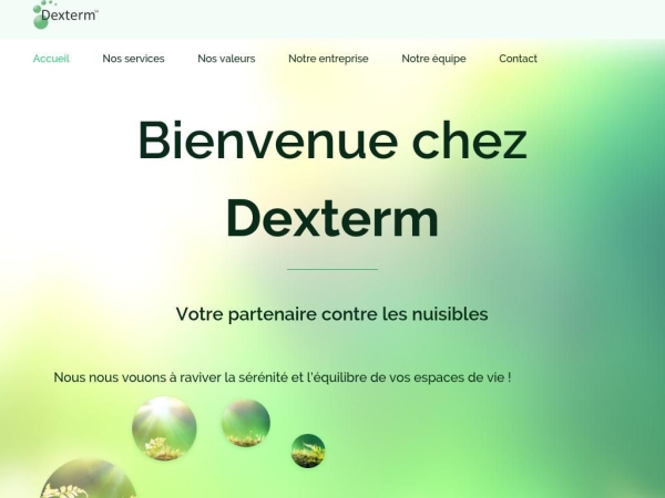 dexterm.ch