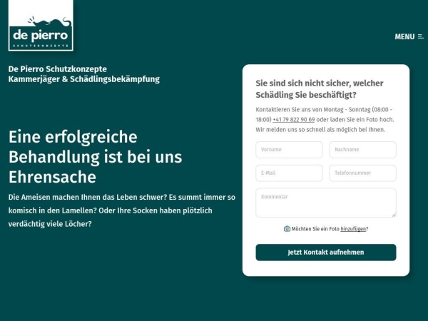 dpsk.ch