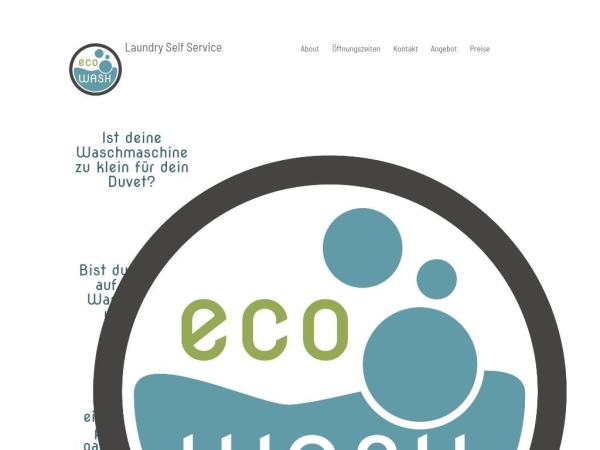 ecowashlaundry.ch