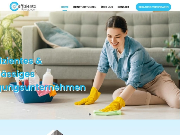 effizienta-reinigungen.ch