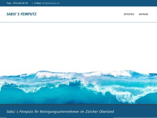 feinputz.ch