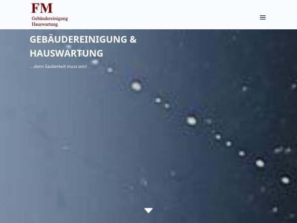 fmreinigung.ch