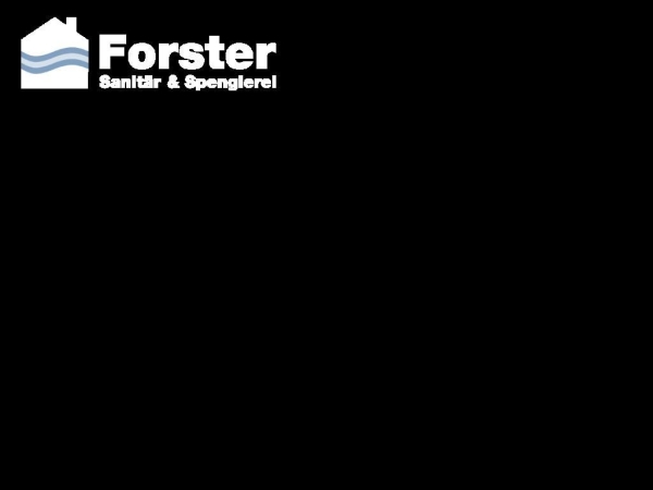 forstersanitaer.ch