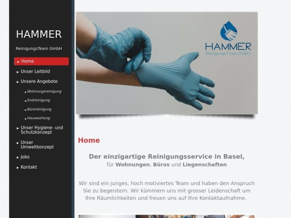 hammerreinigungsteam.ch
