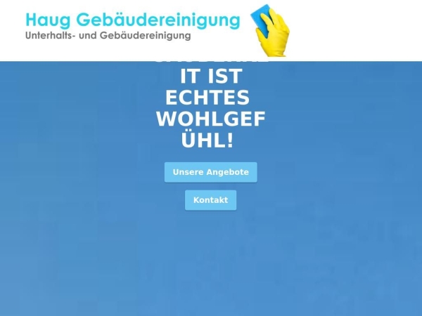 haug-reinigung.ch