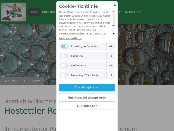 hostettler-reinigung.ch