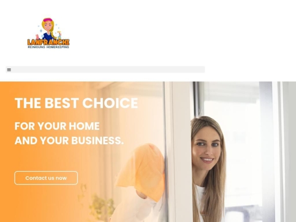 lanfranchireinigung.com