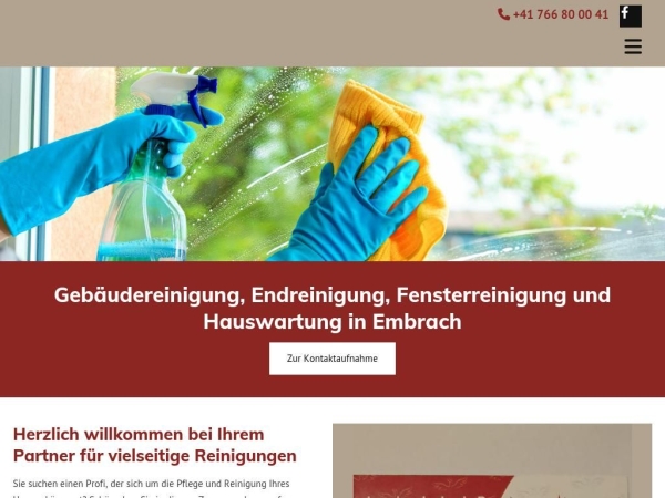 lmjreinigungen.ch