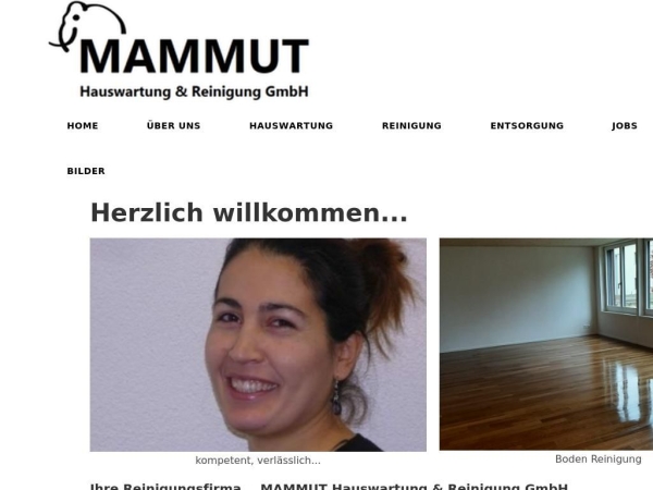 mammut-reinigung.ch