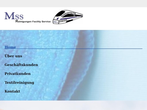 mss-reinigung.com