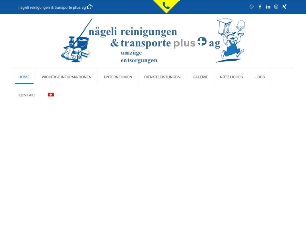 naegeli-reinigungen.ch