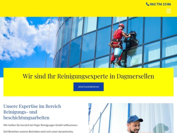najer-reinigungen.ch