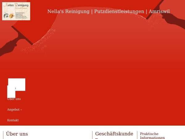nellasreinigung.ch