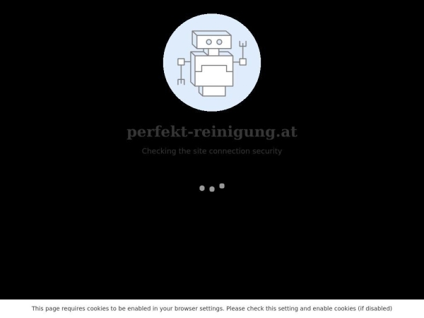 perfekt-reinigung.at