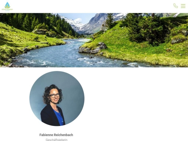 picobello-reinigungen.ch