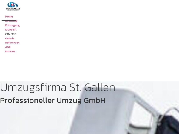professionellereinigung.ch