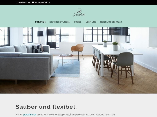 putzfink.ch