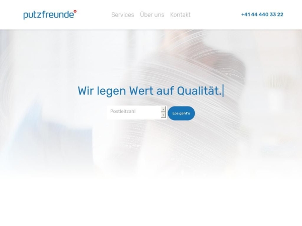 putzfreunde.ch