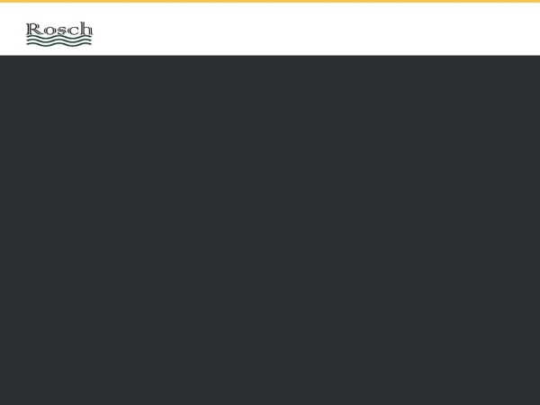 roschumzug.ch