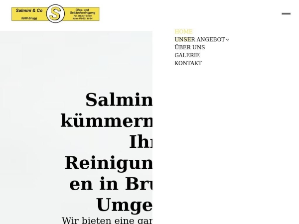 salmini.ch