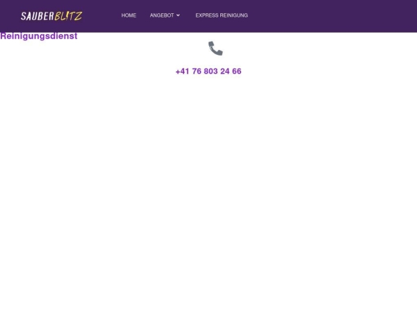 sauberblitz.ch