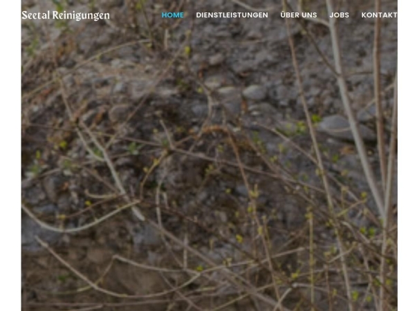 seetalreinigungen.ch