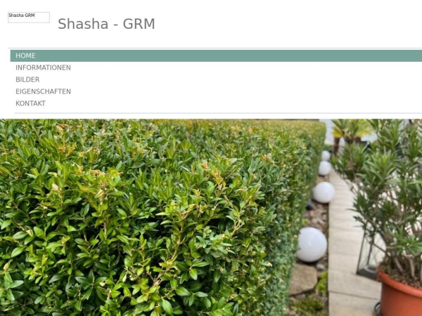 shasha-grm.ch