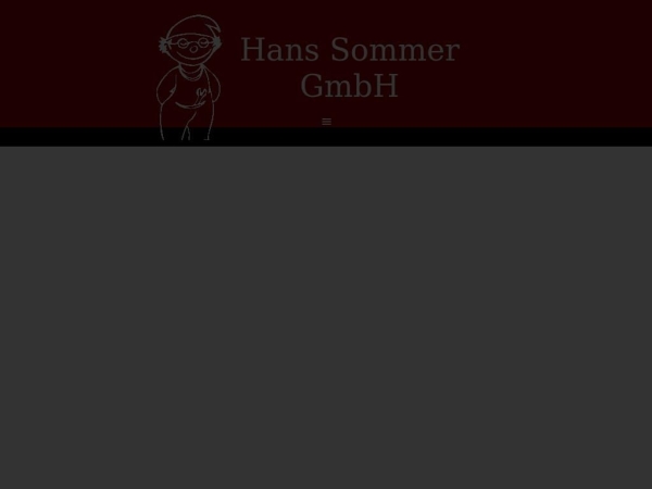 sommerheizungen.ch
