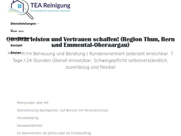 tea-reinigung.ch