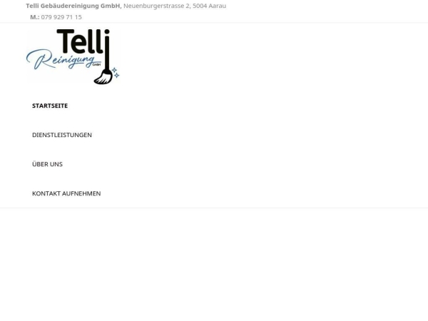 tellireinigung.ch
