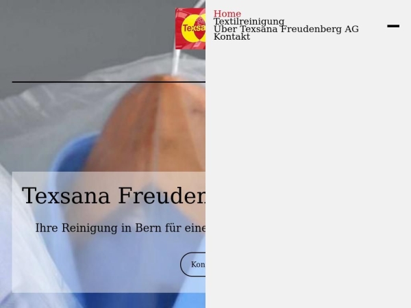 texsana-reinigung.ch