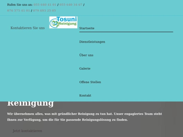 tosuni-reinigung.ch