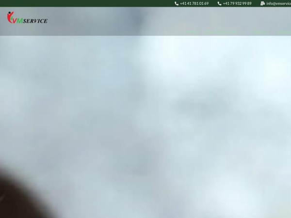 vmservice.ch