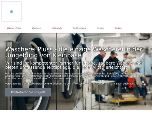 waescherei-pluess.ch