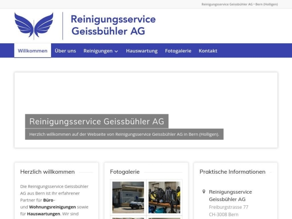 xn--geissbhlerreinigung-bbc.ch