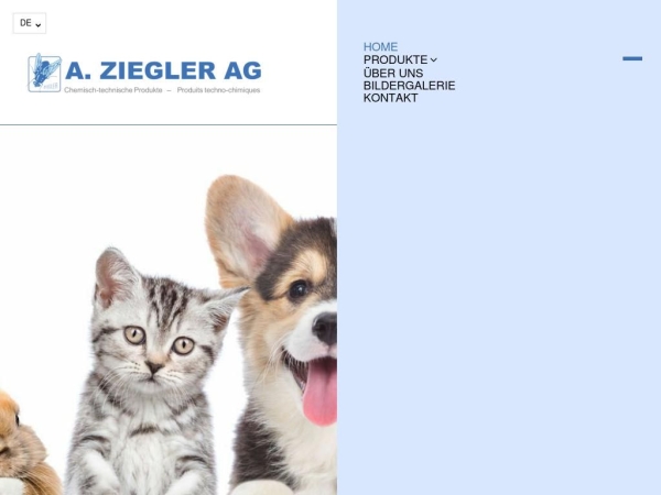zieglerchem.ch